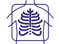 EEG Icon